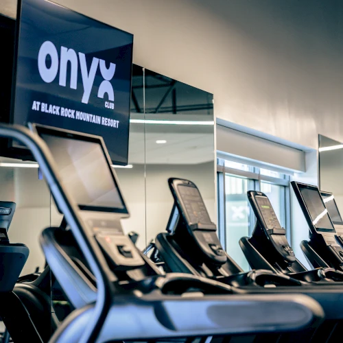 Onyx Club cardio equipment